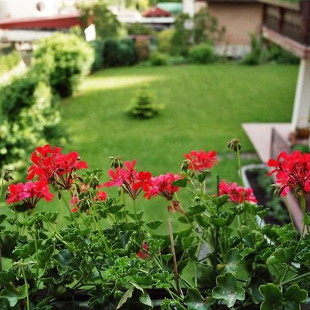Ferienwohnungen Im Herzen Des Pfaelzerwaldes Elmstein المظهر الخارجي الصورة