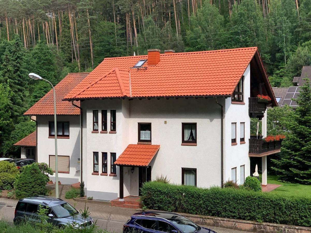 Ferienwohnungen Im Herzen Des Pfaelzerwaldes Elmstein المظهر الخارجي الصورة