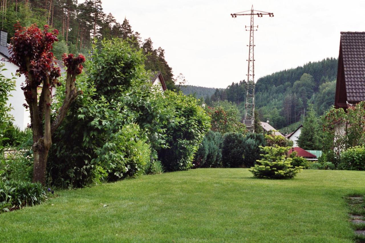 Ferienwohnungen Im Herzen Des Pfaelzerwaldes Elmstein المظهر الخارجي الصورة