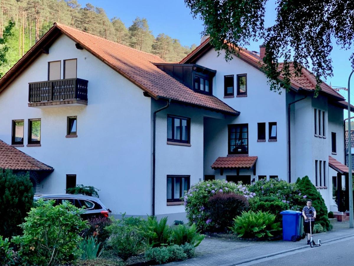 Ferienwohnungen Im Herzen Des Pfaelzerwaldes Elmstein المظهر الخارجي الصورة